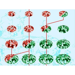 Illustration High Volatility