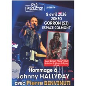 Illustration Hommage à Johnny Hallyday par Pierre BENVENUTI et Norbert KRIEF