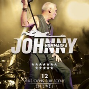 Illustration Hommage à Johnny