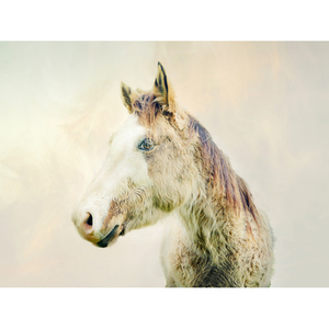 Illustration Horse's Mood