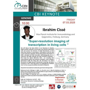 Illustration Ibrahim Cisse "Super-resolution imaging of transcription in living cells "
