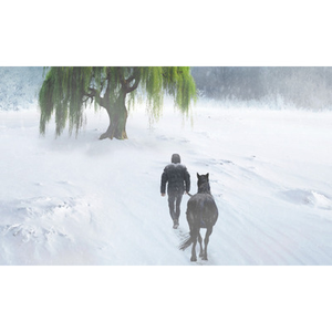 Illustration If Music Be the Food of Love / Sonnets et chansons de Shakespeare