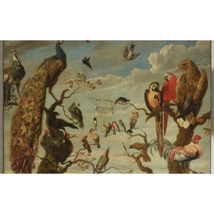 Illustration Imitation of Birds |Saison du Conservatoire 24/25