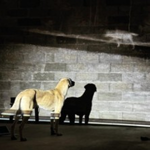 Illustration In Bocca al Lupo - Judith Zagury - ShanjuLab - Théâtre du Rond-Point, Paris