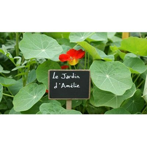 Illustration Initiation au jardin comestible - Partie 2