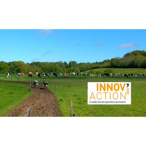 Illustration Innov'action - Journée départementale Lait (72)