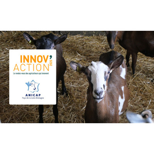 Illustration Innov'action - Journée régionale caprine 2025 (53)