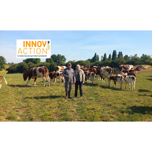 Illustration Innov'action - Journée viande bovine (72)