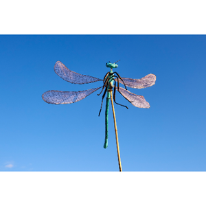 Marionnette créée au sein de l'atelier de Véronique Ferrachat