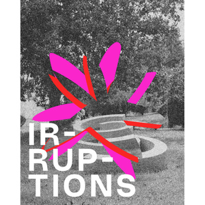 Illustration Irruptions, Soirée poétique et musicale