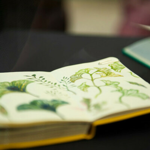 Illustration J'expose, je m'expose