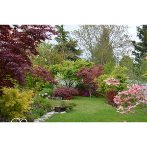 Illustration Jardin du Grand Charme