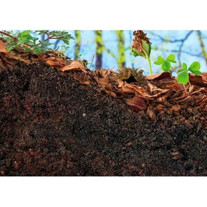 Illustration Jardiner au naturel à Saint-Médard-en-Jalles