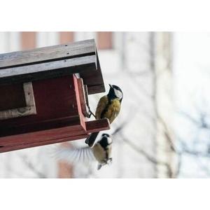 Illustration Jardiner au naturel au Haillan