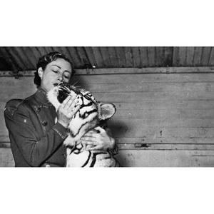 Illustration Jeannette Mac Donald, la dame aux fauves