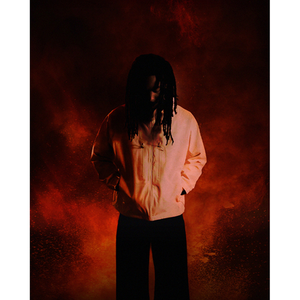 Illustration Jeune Lion