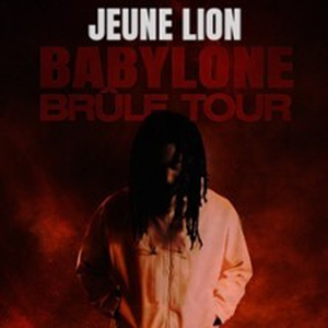 Illustration Jeune Lion - Babylone Brûle Tour