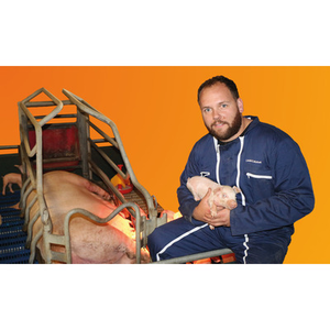 Illustration Journée découverte : la filière porcine recrute de nouveaux producteurs