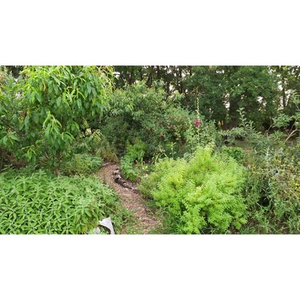 Illustration Journée sol et découverte de la permaculture au Muséum