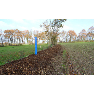 Illustration Journée technique bocage (49)