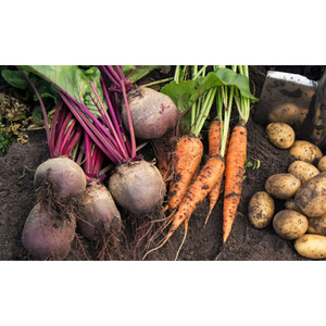 Illustration Journée technique en maraîchage (49)