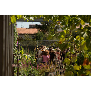 Illustration Journées Européennes du Patrimoine aux Jardins du Muséum à Borderouge