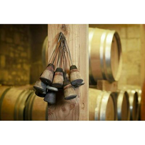 Illustration Journées Portes ouvertes aux châteaux de Castillon Côtes de Bordeaux