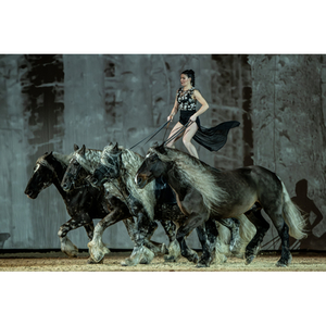 Illustration Jumping International de Bordeaux : spectacle d'ouverture