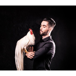 Illustration La basse-cour fait son show : vous saurez tout sur les poules