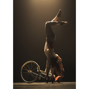 Illustration LA BÊTE NOIRE suivi de PETITE REINE