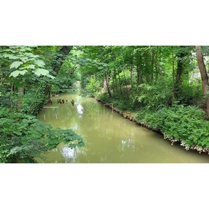 Illustration La biodiversité en bord de Garonne