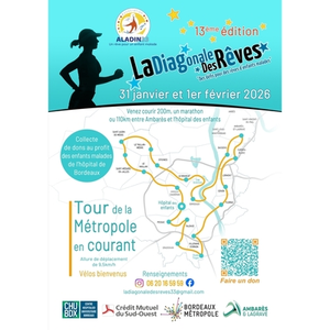 Illustration LA DIAGONALE DES RÊVES