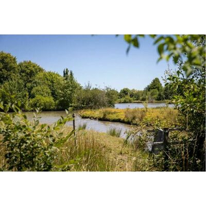 Illustration La Garonne, un refuge de biodiversité !