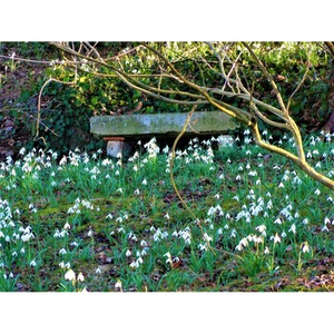 Illustration La nature s’éveille