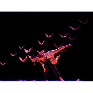 Illustration La petite vague