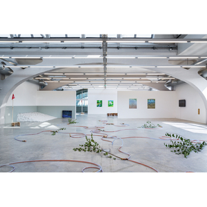 Illustration La Renouée, notre ennemie ? Promenade-rencontre