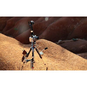 Illustration La Schatz aux trésors, les aventures de Mümü