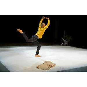 Illustration La serpillère de Monsieur Mutt - Marc Lacourt