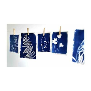 Illustration La technique du cyanotype