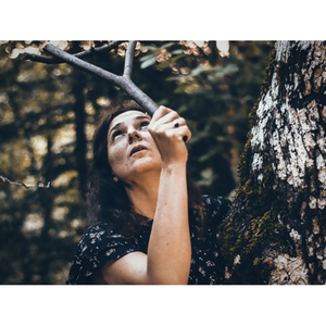 Illustration L’Affût