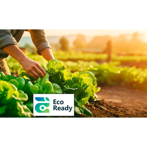 Illustration Laitue et changement climatique : quels leviers pour l’avenir de la filière en Pays de la Loire ?