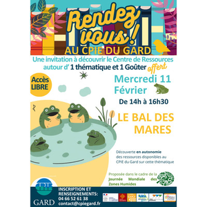 Illustration Le bal des Mares