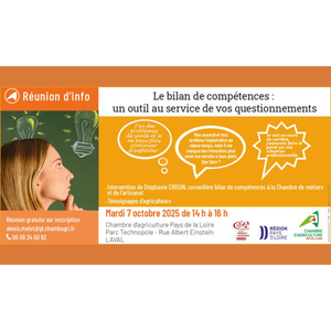 Illustration Le bilan de compétences, une boussole pour votre avenir professionnel (53)