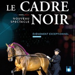 Illustration Le Cadre Noir De Saumur