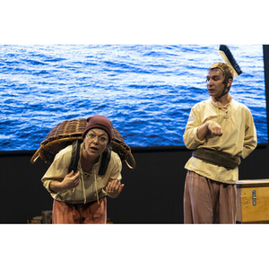 Illustration Le Carnaval des Animaux