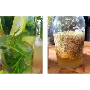 Illustration Le Jardin d'Amélie : atelier culinaire adultes : Boissons fermentées