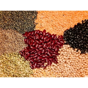 Illustration Le Jardin d'Amélie : atelier culinaire adultes : Légumineuses en folie