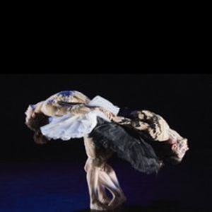 Illustration Le Lac des Cygnes (chorégraphie Florence Caillon)