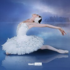 Illustration Le Lac des Cygnes - Swan Lake - Tournée