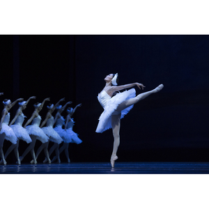 Illustration Le lac des cygnes, un spectacle magique